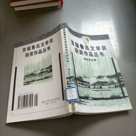 鲁迅文学奖获奖作品丛书：理论评论