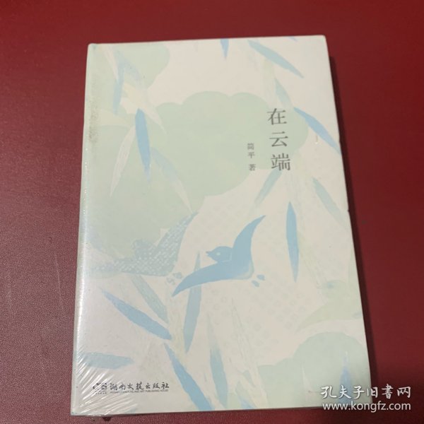 在云端（知名影视剧制片人、儿童文学作家患癌期间的生活故事，有关绝望与坚持，失去与得到）