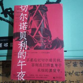 切尔诺贝利的午夜（《纽约时报》《时代周刊》年度图书）