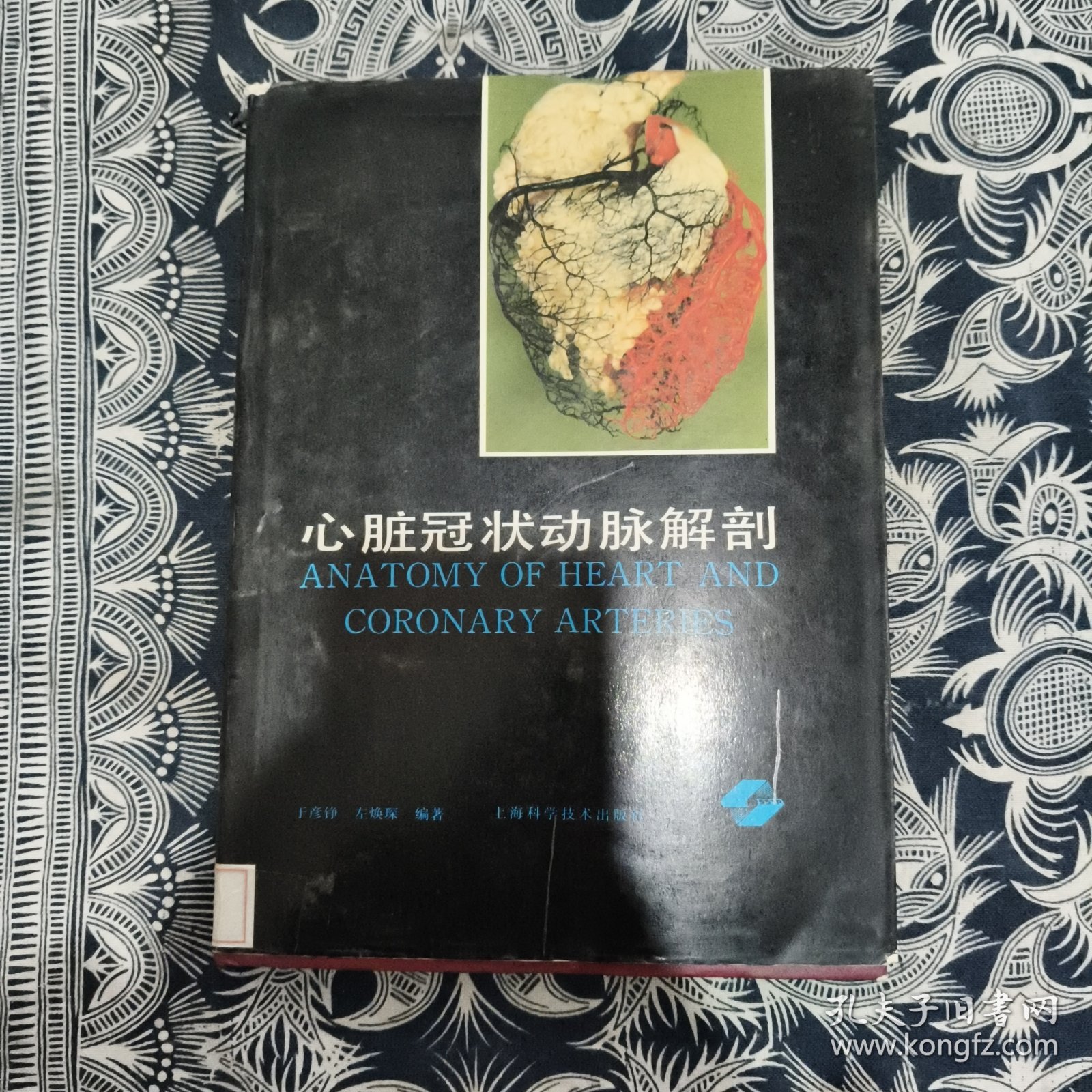 心脏冠状动脉解剖