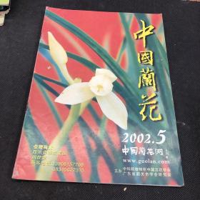 中国兰花 2002 5