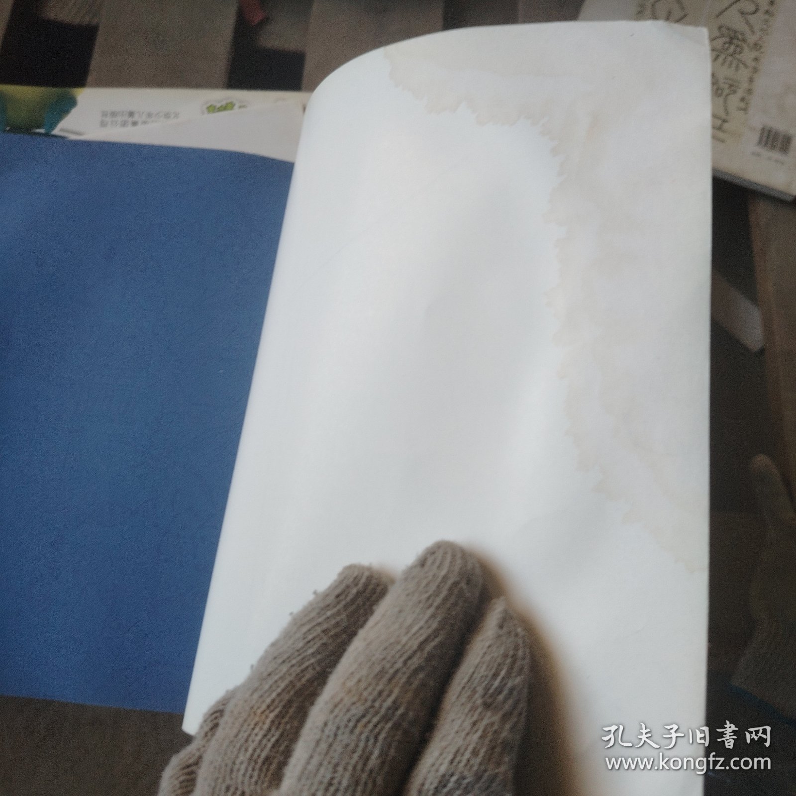 奇趣博物馆. 把达尔文带回家