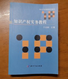 知识产权实务教程