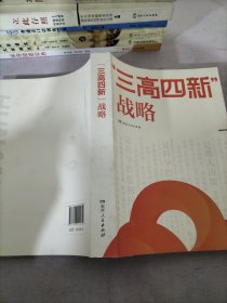 三高四新战略