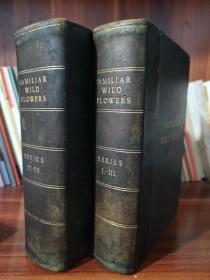 1902年- FAMILIAR WILD FLOWERS《常见野花图谱》7册集于2大本，布面精装，280枚套色版画野花图谱