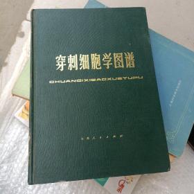 穿刺细胞学图谱