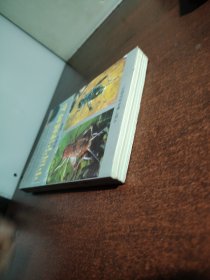 中国宁津蟋蟀志