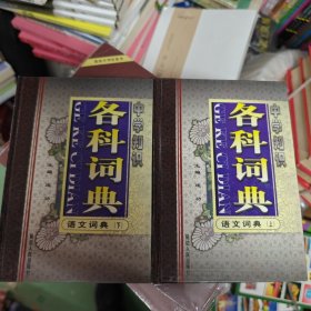 中学知识各科词典 语文词典（上下）
