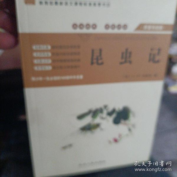 爱的教育/阅读1+1工程