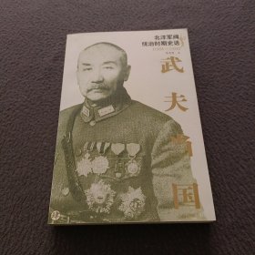 武夫当国：北洋军阀统治时期史话1895-1928(肆)