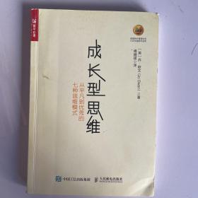 成长型思维 从平凡到优秀的七种思维模式