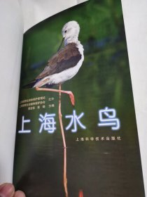 上海水鸟（签名本）