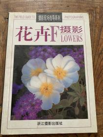 花卉摄影