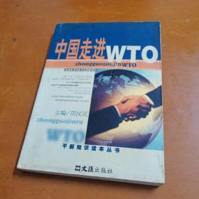 中国走进WTO(最新版)