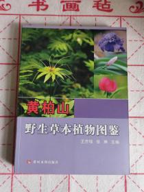 黄柏山野生草本植物图鉴