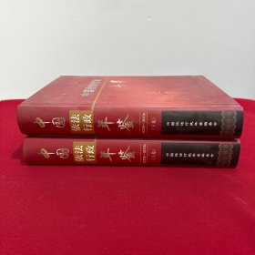 中国依法行政年鉴 上下卷