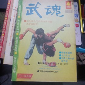 武魂杂志 1990 4 不缺页 封皮撕裂原始太极拳 四 云南内家象形拳九连环 祛病健身功 擒拿十二招 金丹大道上