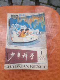 《少年科学》杂志 1981/1982/1983/1984年合订本/每年12期，共48期合售