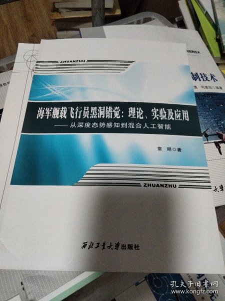 海军舰载飞行员黑洞错觉：理论、实验及应用（从深度态势感知到混合人工智能）无笔记