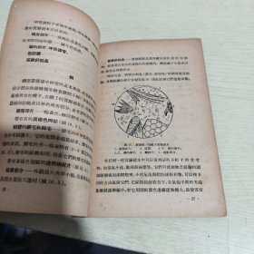 蚕业显微镜检视法 54年初版