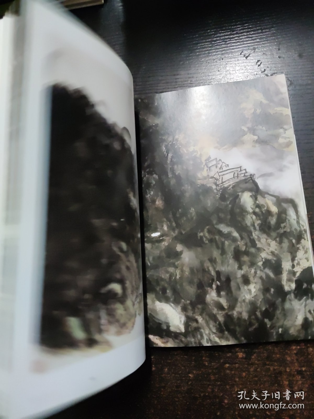 黄宾虹全集（中）