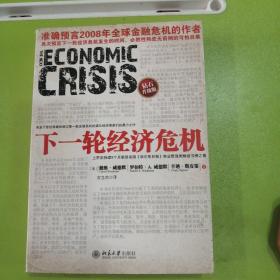下一轮经济危机。北京大学出版社