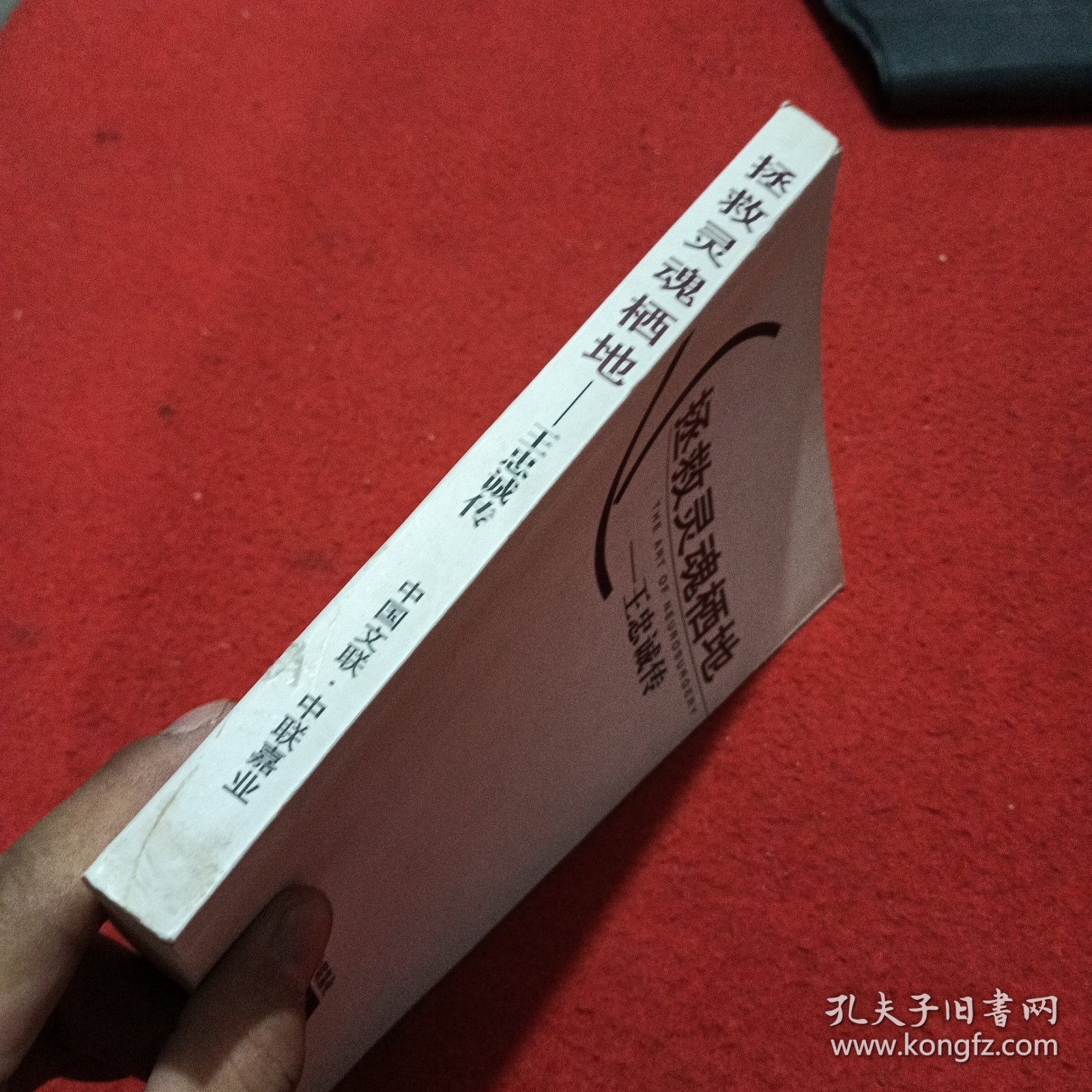 拯救灵魂栖地——王忠诚传