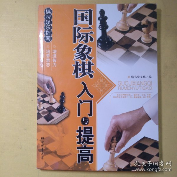 棋牌娱乐指南：国际象棋入门与提高