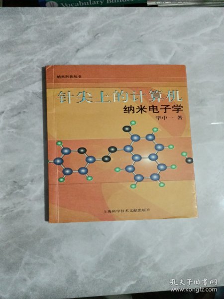 针尖上的计算机：纳米电子学