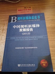中国视听新媒体发展报告（201 3）
