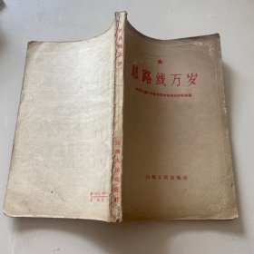 总路线万岁：中共八届八中全会文件及有关材料选编