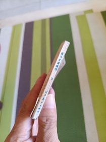 新儿女英雄传