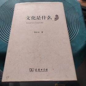 文化是什么（精装）