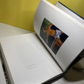 彼得.多伊格 英文原版 Peter Doig 艺术 书籍 个体艺术家 绘画