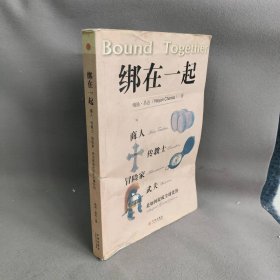 绑在一起——商人、传教士、冒险家、武夫是如何促成全球化的