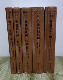 佛教十三经注疏 圆觉经注疏 梵网经注疏 金光明经注疏 阿弥陀经注疏 四十二章经注疏