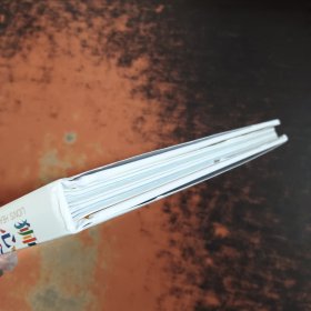 狮心绘意/中新儿童文学原创作品