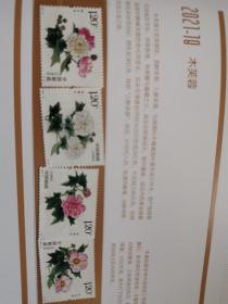 2021-18《木芙蓉》特种邮票
