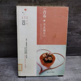 青春，不及掩耳（缺失扉页，正文完好）