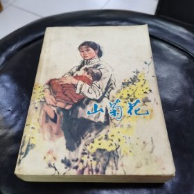 山菊花（上集）