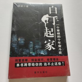 白手起家：一个草根的十年奋斗史