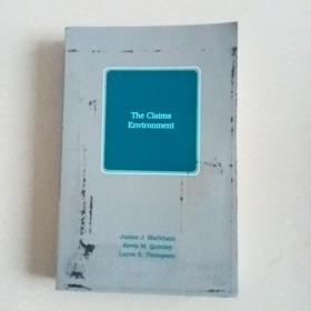 The Claims Environment