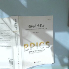 金砖在失色？“金砖国家治理体系和治理能力现代化建设国际研讨会”论文集中英对照