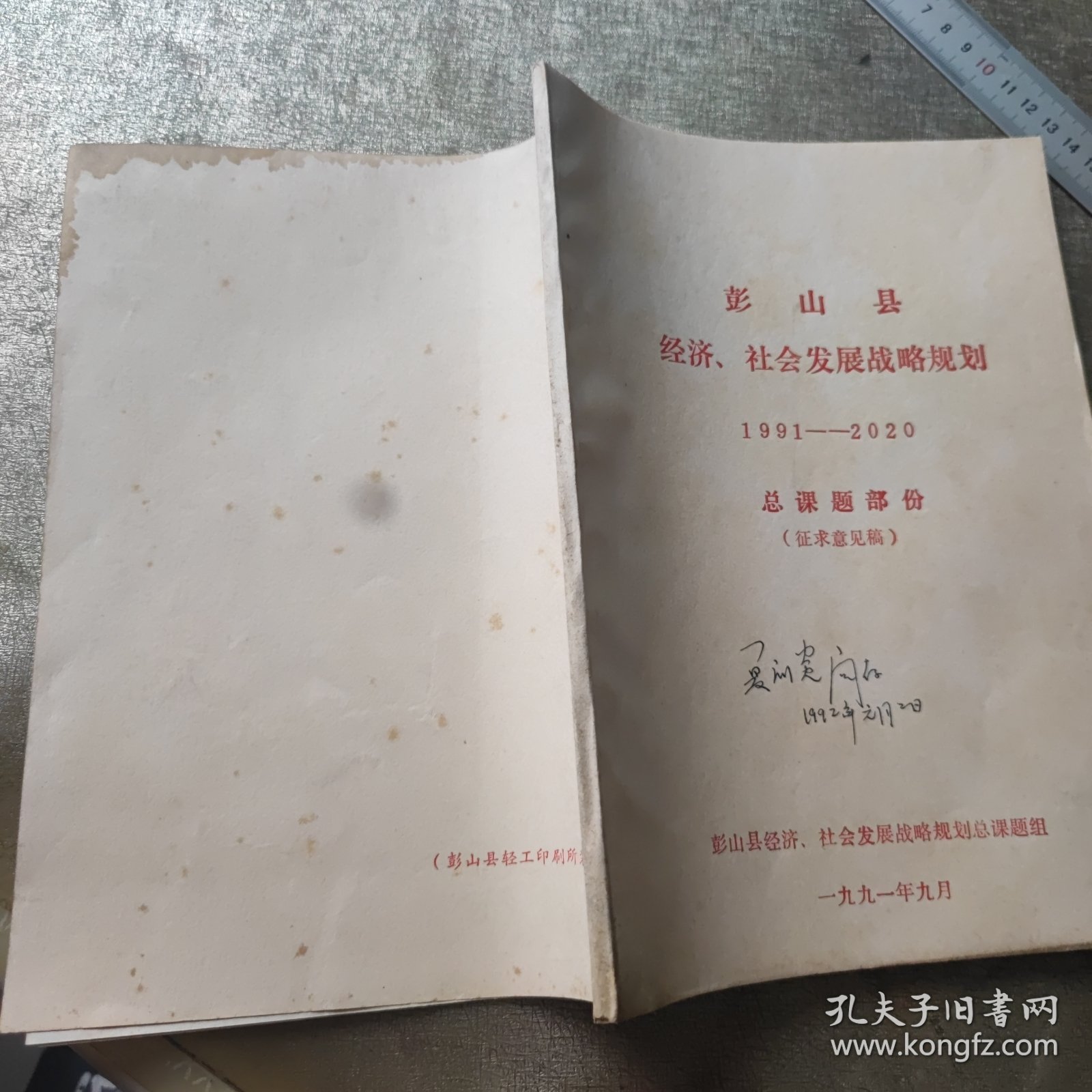 彭山县经济社会发展战略规划 1991至2020。总课题部分 征求意见稿