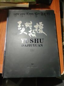 玉树大救援:甘肃省交通运输系统赴玉树抗震救灾纪实