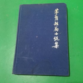 矛盾短篇小说集 上