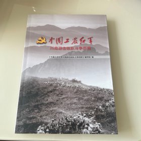 中国工农红军川南游击纵队斗争历程