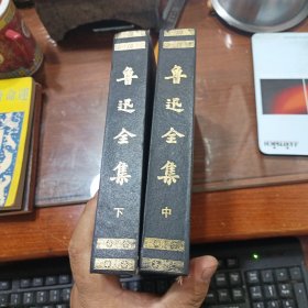魯迅全集 （中下）