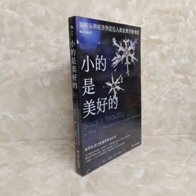 小的是美好的：如何运用经济学来定位人类发展的新维度