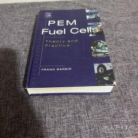 PEM Fuel Cells